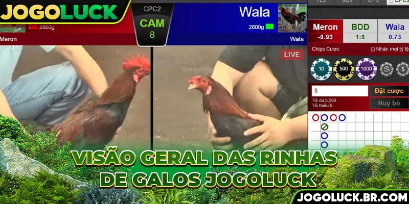 Briga de galos JOGOLUCK