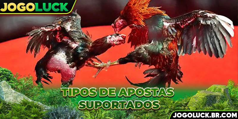 Tipos de apostas suportados