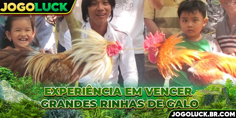 Experiência em vencer grandes rinhas de galo